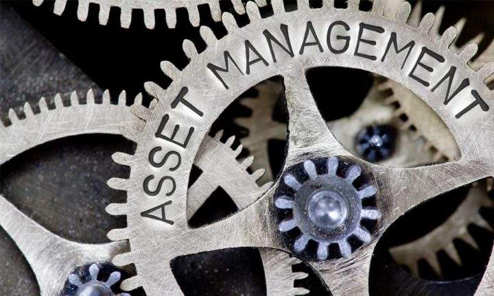 Enterprise Asset Management: Goals and Challenges